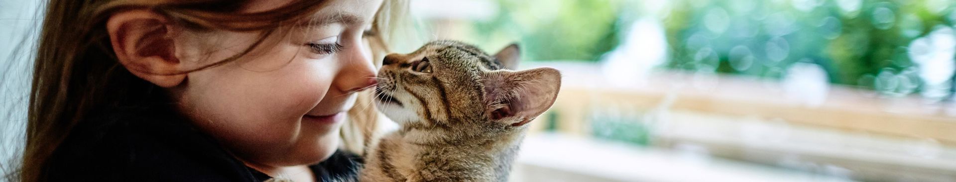 liten flicka kelar med kattunge