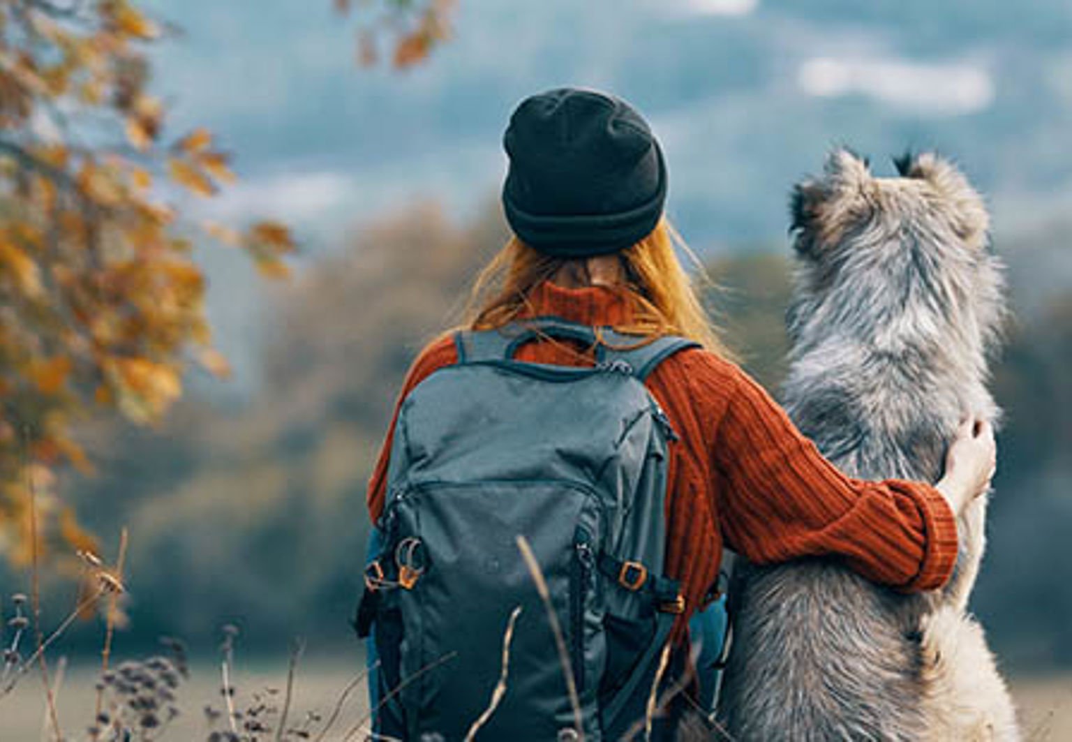 ung kvinna sitter tillsammans med sin hund i naturen
