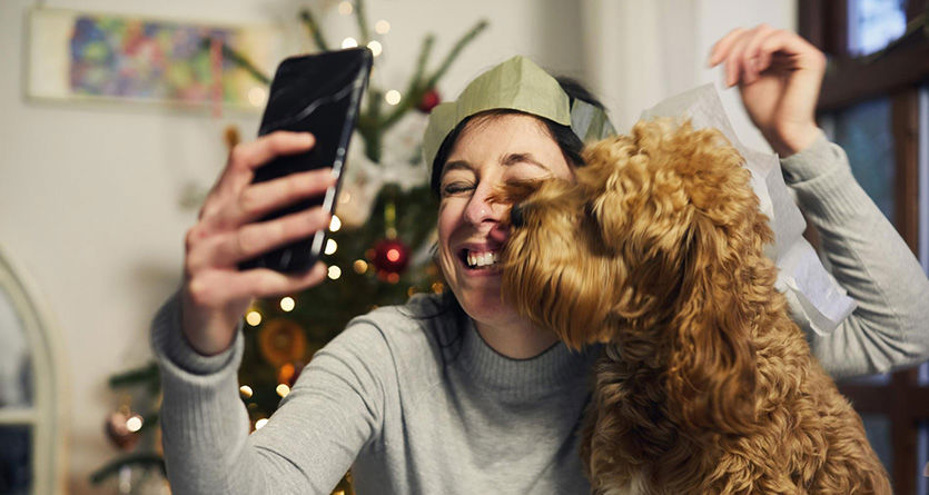 julfirande med hund cockerpoo