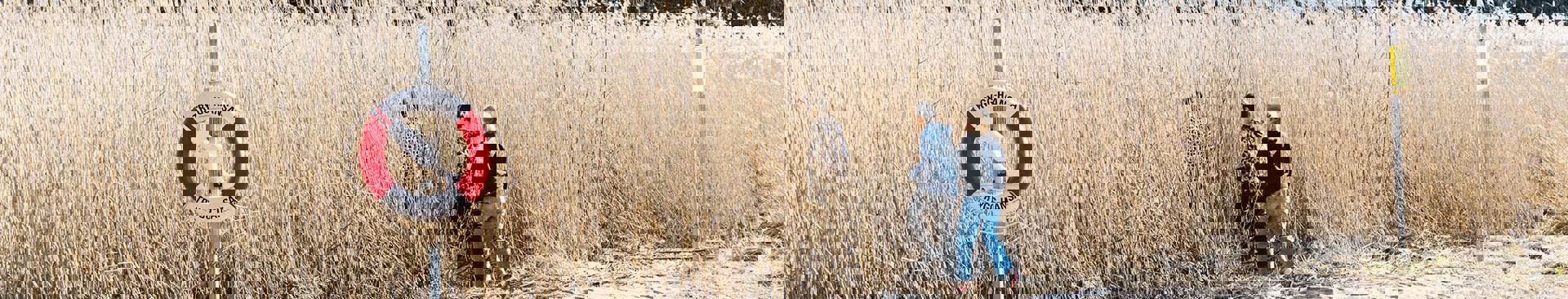 barn leker på en strand